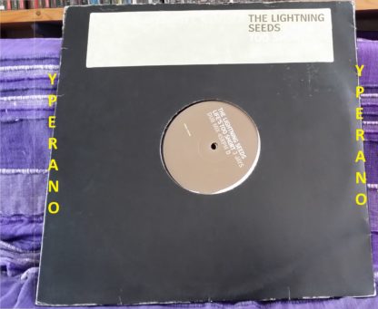 The LIGHTNING SEEDS Life's too Short 12" PROMO. 2  Vinyl, 12". Double 2X 12"s. Check video
